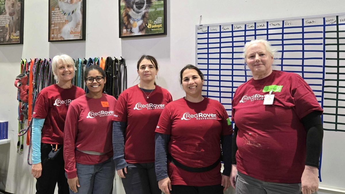 RedRover Responders team at Humane World for Animals deployment