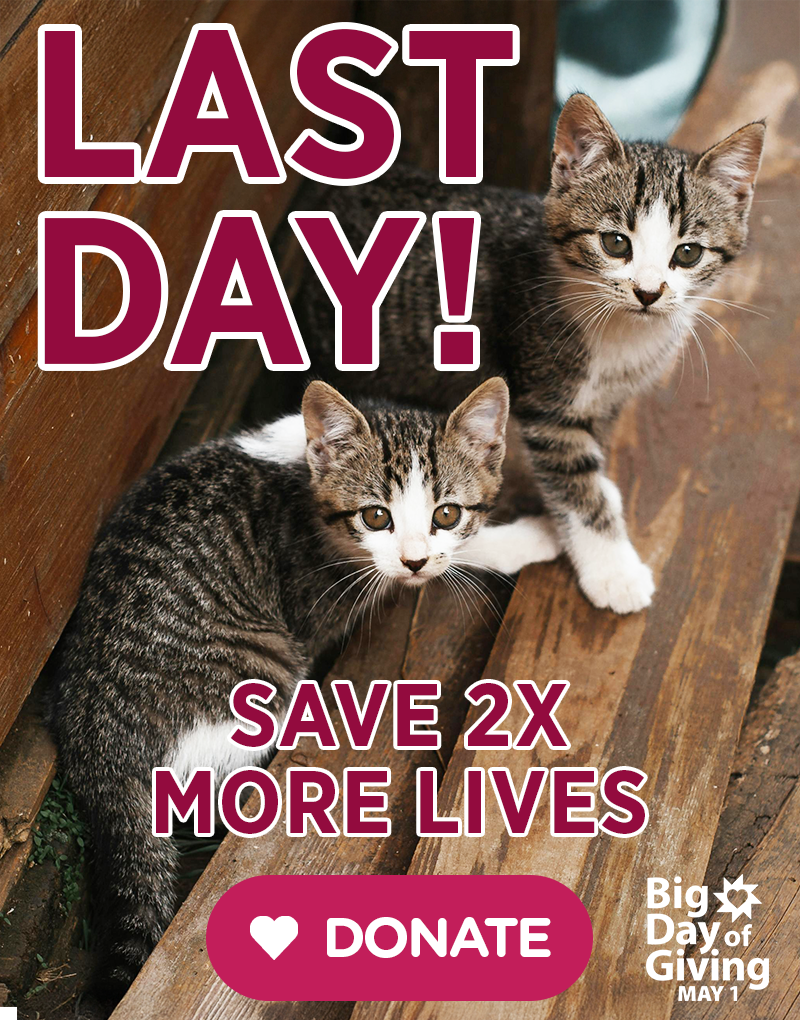 RedRover Last Day to Save two times more lives donate today