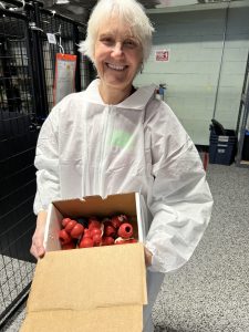 RedRover Responders team at Humane World for Animals deployment - volunteer holding KONG toys