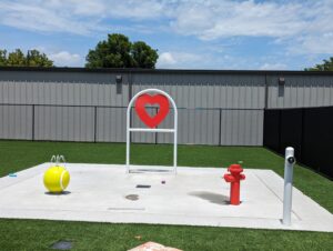 Outdoor dog water play area at Atlanta Humane Society featured in Kind News magazine