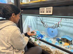Mouse habitat at the San Diego Humane Society featured in Kind News magazine