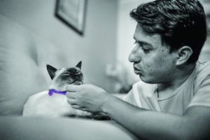 RedRover and Purina's Purple Leash Project - man hugs Siamese cat with purple collar