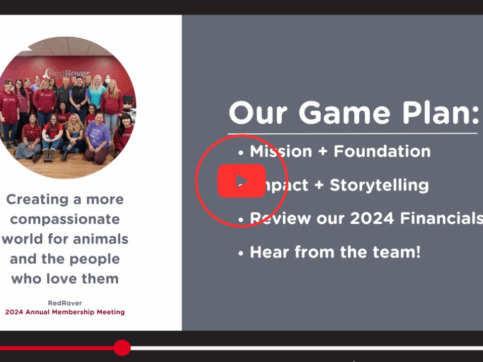 RedRover 2025 Member. Meeting Recording Thumbmail