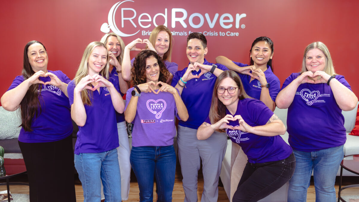 The RedRover and Purina Purple Leash Project Team poses in the RedRover office in Sacramento, California