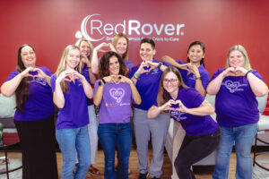 The RedRover and Purina Purple Leash Project Team poses in the RedRover office in Sacramento, California