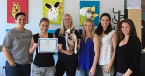 RedRover Staff holds a Charity Navigator certificate
