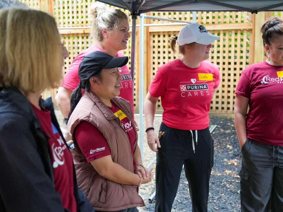 RedRover Responders volunteers build pet-friendly housing in Cincinnati, Ohio
