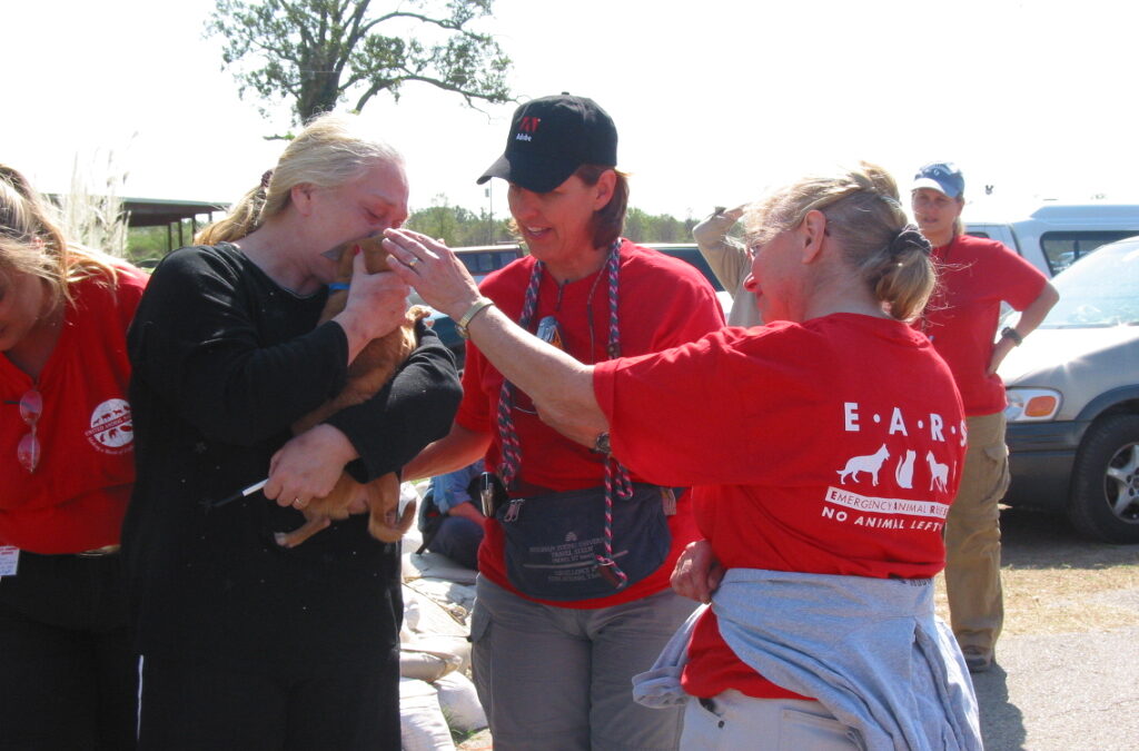 RedRover Responders volunteer reunites a dog and a family at Hurricane Katrina