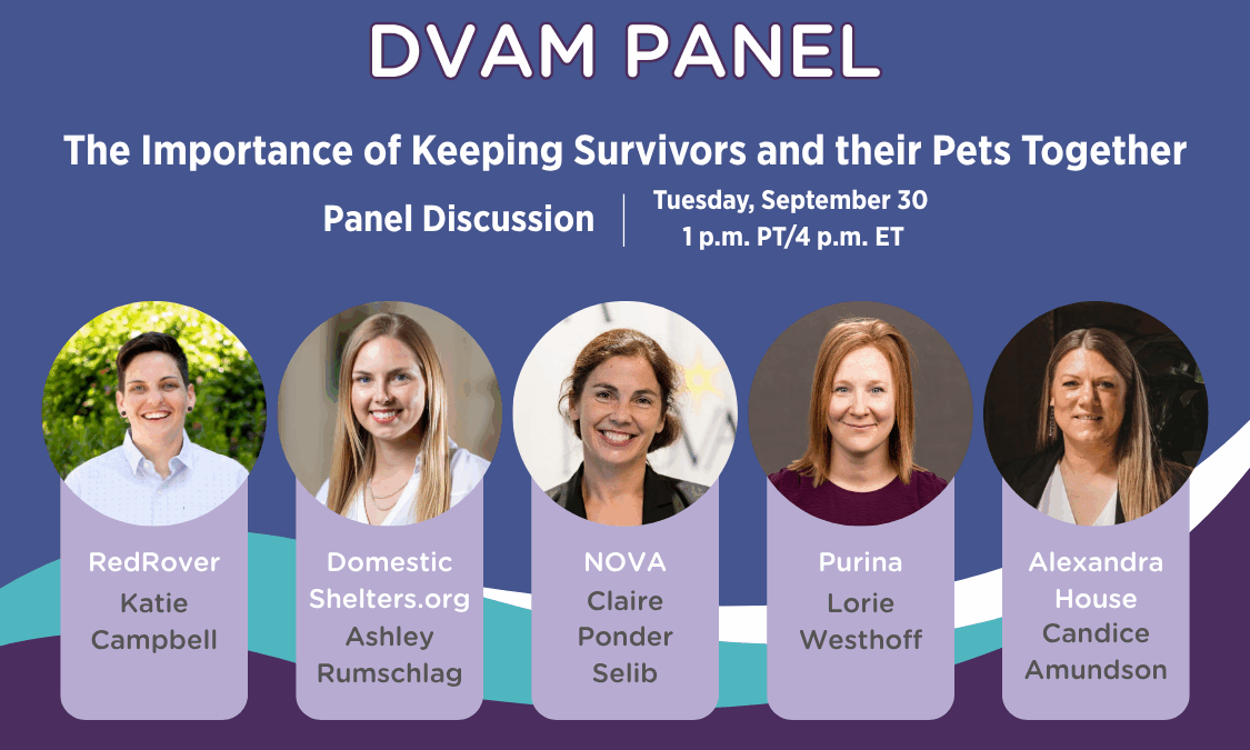RedRover DVAM Panel Headshots