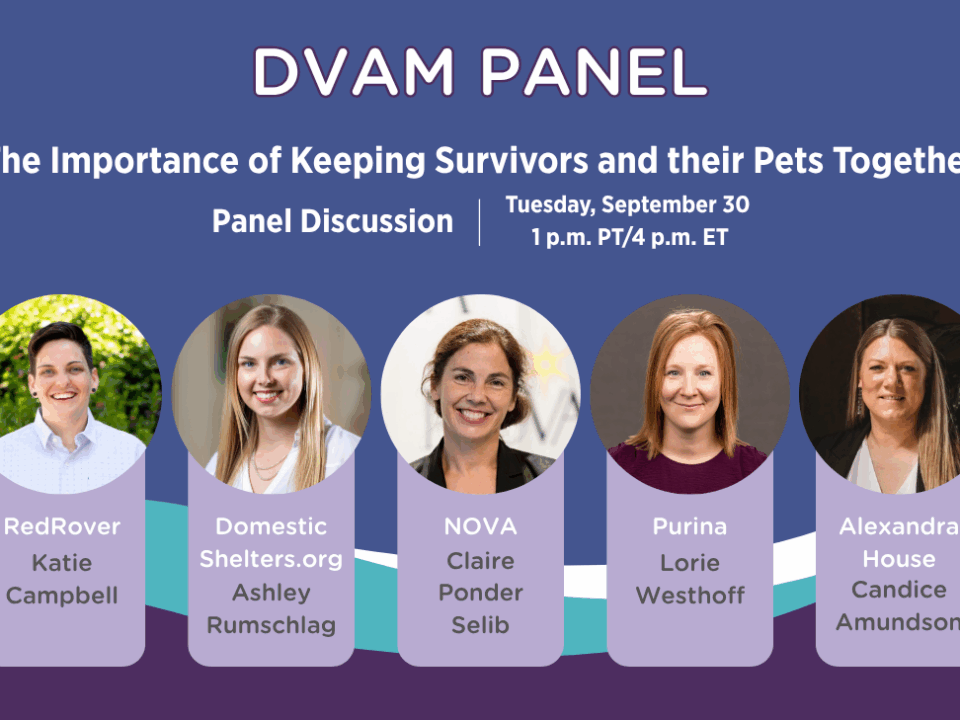 RedRover DVAM Panel Headshots