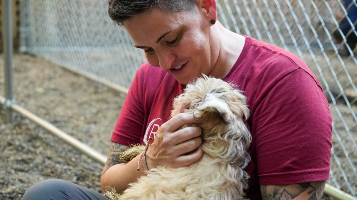 RedRover President and CEO Katie Campbell hugs a dog on deployment