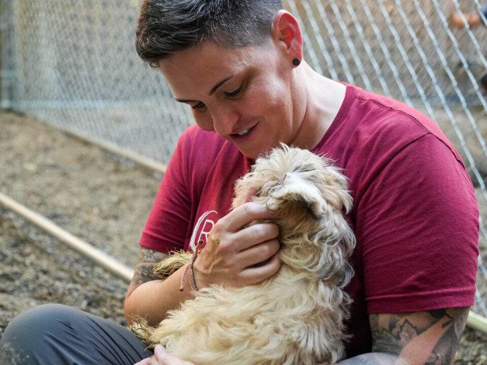 RedRover President and CEO Katie Campbell hugs a dog on deployment