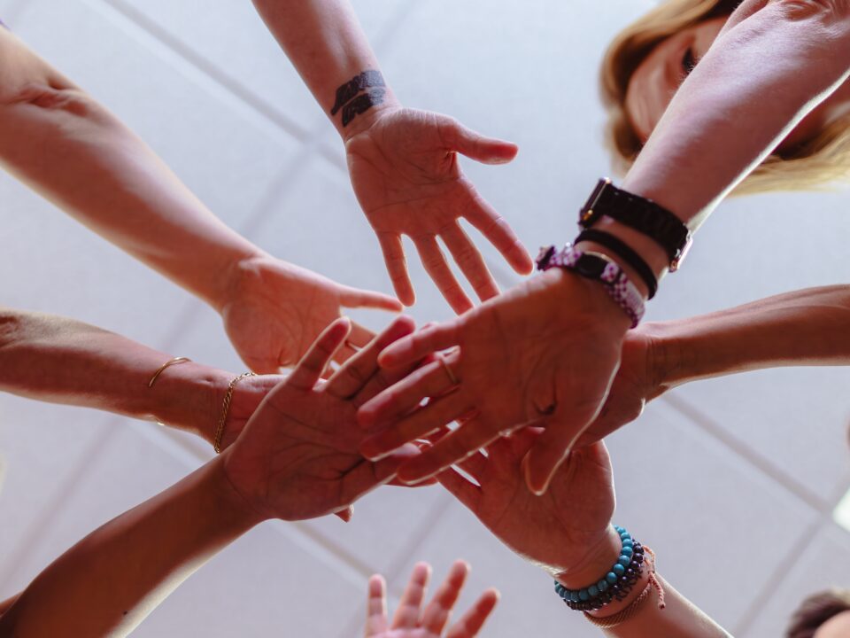 RedRover and Purina Purple Leash Project staff putting their hands in