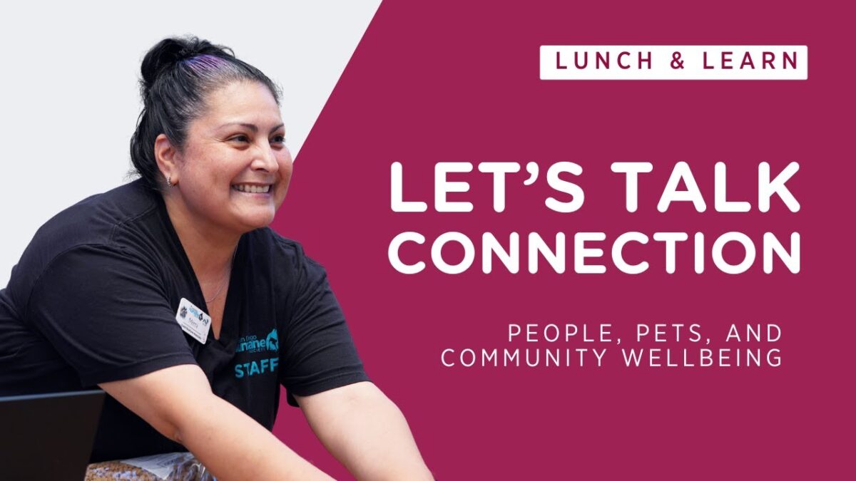 Lunch and Learn thumbnail: Let's Talk Connection - People, Pets and Community Wellbeing