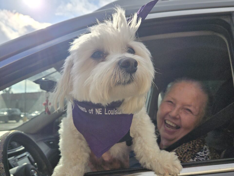 RedRover Responders Deployment with PAWS of NE LA - dog and mom wait happily in the car