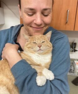 Santa Cruz County Animal Shelter staff and an orange cat
