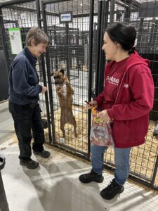 RedRover Responders dogfighting deployment with Humane World for Animals