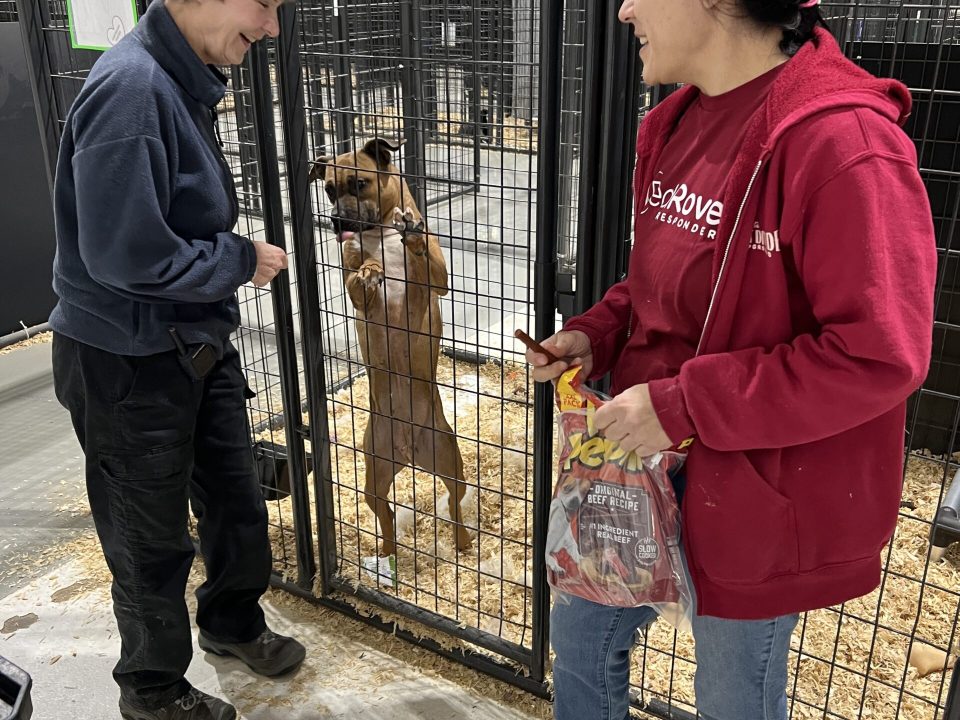 RedRover Responders dogfighting deployment with Humane World for Animals