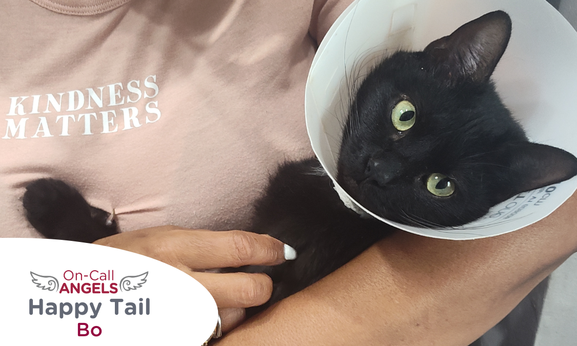 RedRover Relief On-Call Angel Urgent Care grantee - Bo