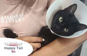 RedRover Relief On-Call Angel Urgent Care grantee - Bo