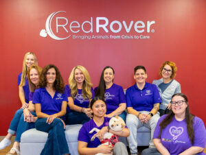 RedRover and Purina Purple Leash Project collaborative team, along with Gelato the mini shiba