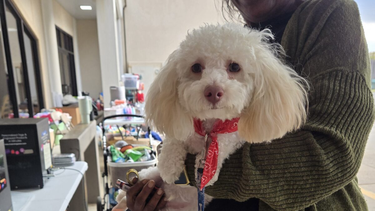 PAWS NE LA pet family, a white dog and senior woman