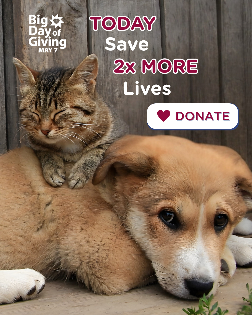 RedRover Last Day to Save two times more lives donate today