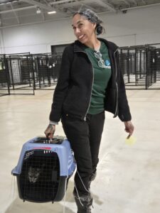RedRover Responders volunteer Dani transports a cat during a deployment with Humane World for Animals
