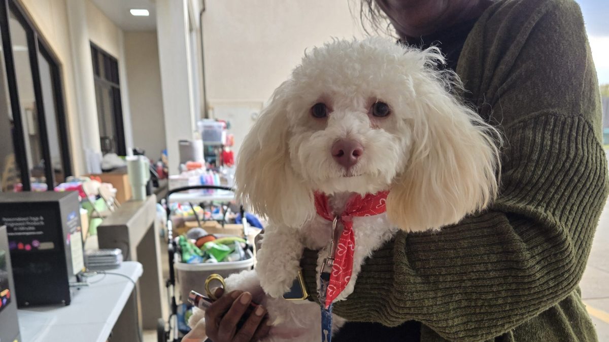 PAWS NE LA pet family, a white dog and senior woman
