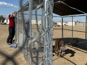 RedRover Responders volunteers unchain a family dog holding their bowl