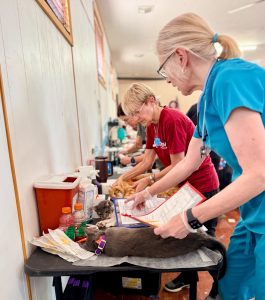 RedRover Responders volunteers help a veterinarian prep cats for wellness services