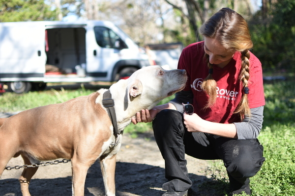 Devon greets a white and tan dog during the recent Unchain Marlboro deployment