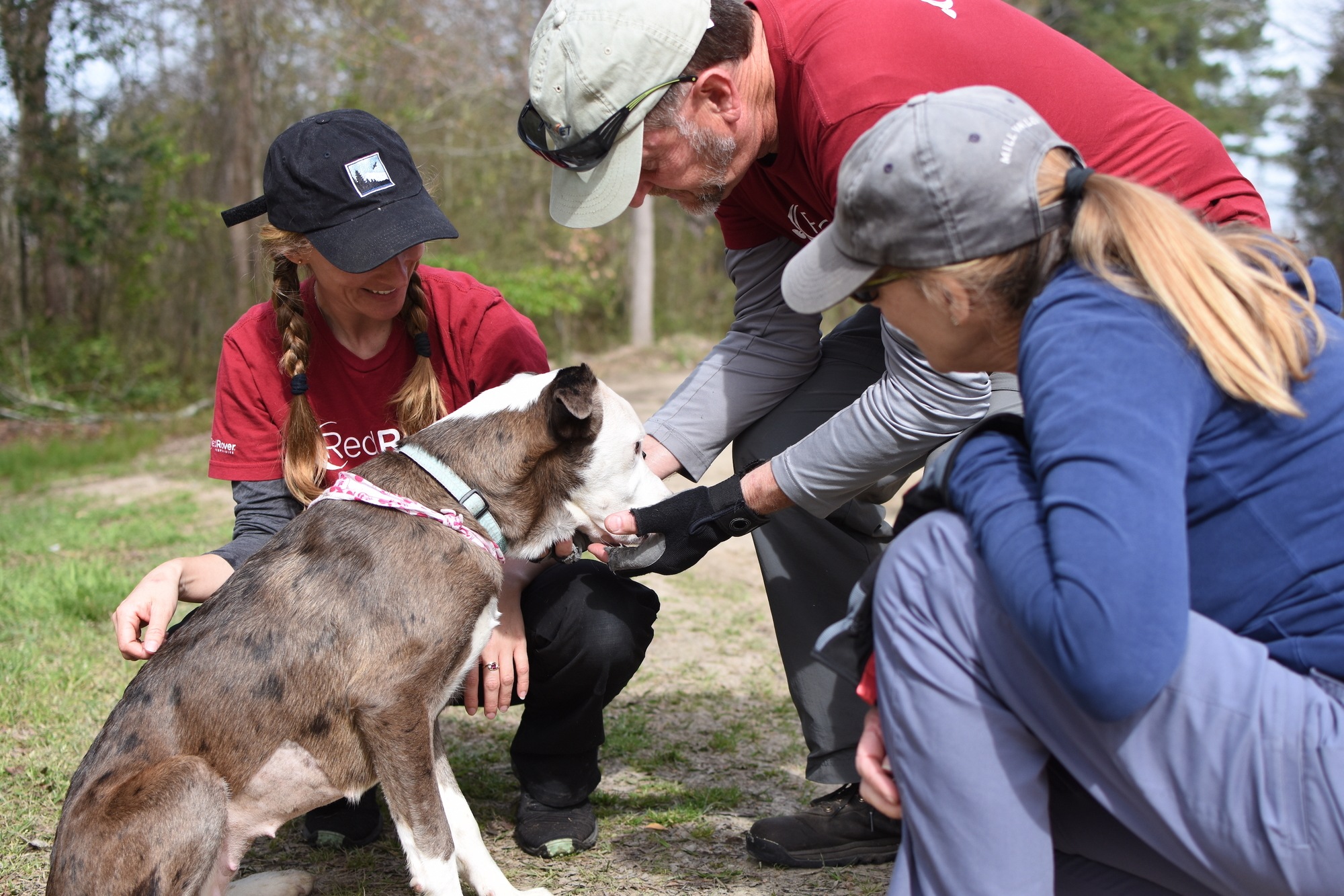 Devon and two RedRover Responders volunteers greet a dog we helped during the recent Unchain Marlboro deployment