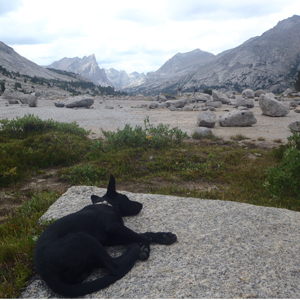 Rango takes a break during his backpacking trip.