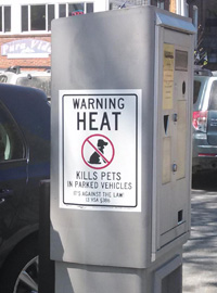 Signs are posted in Brattleboro, Vermont, municipal parking lots to remind drivers to keep dogs safe from parked, hot cars.