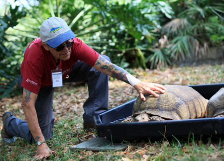 RedRover Responders volunteer Jackie with a Salcata tortoise, enjoying a water soak prior to transport.
